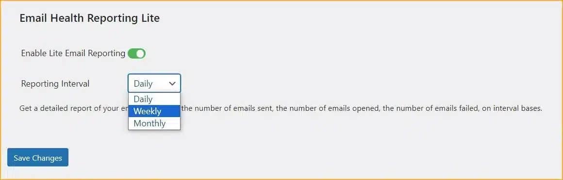 Screen showing how to receive email reports in Post SMTP.