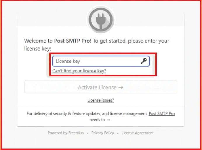 Display of the Pro license key input section